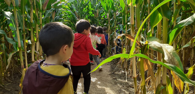 L'èssencia de la nostra proposta educativa Aula Rural Palaudàries